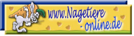 Nagetiere-Online: Ratten